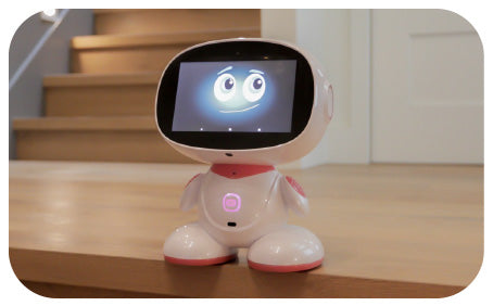 Misa - Next Generation Social Robot